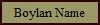 Boylan Name