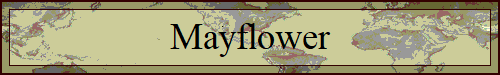 Mayflower